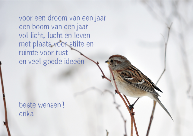 wens2013
